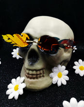 Load image into Gallery viewer, Flamin' Hot Fashion Sunglasses