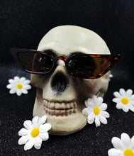 Load image into Gallery viewer, Classic Cat-Eye Fashion Sunglasses