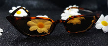 Load image into Gallery viewer, Classic Cat-Eye Fashion Sunglasses